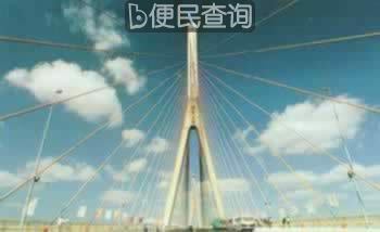 世界第一斜拉桥——杨浦大桥动工