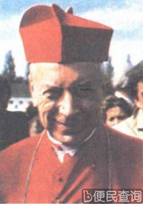 波兰红衣主教维辛斯基逝世
