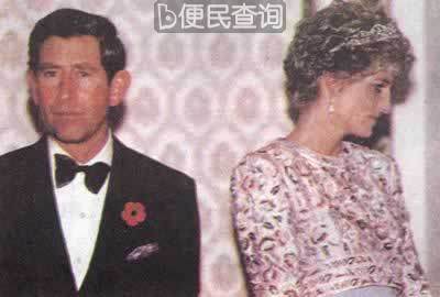英国王储夫妇查尔斯黛安娜离婚