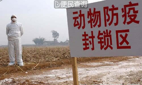 中国公布首例确诊高致病性禽流感疫情