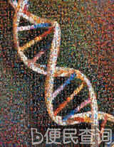 科学家首次公布人类基因组图谱