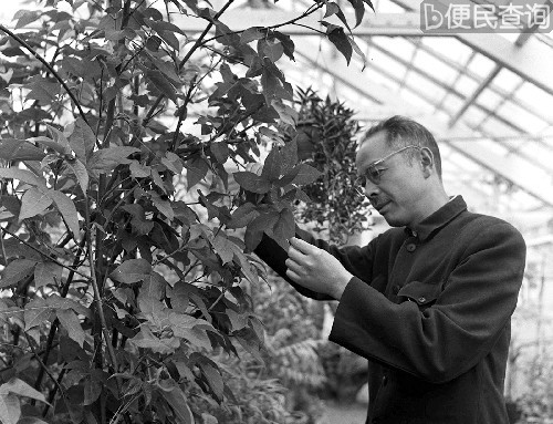 我国著名植物学家蔡希陶在昆明逝世