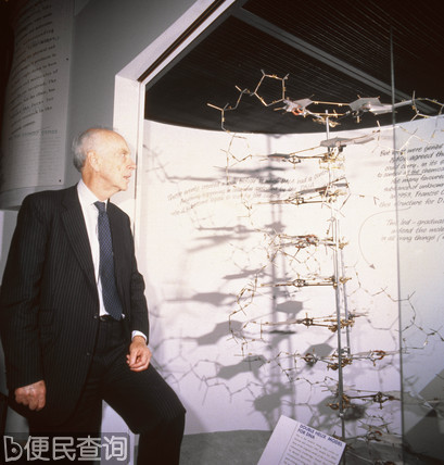 DNA的双螺旋结构詹姆斯·杜威·沃森出生
