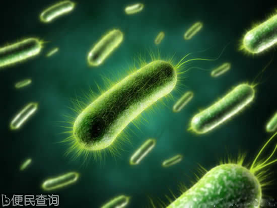 南亚发现新型超级细菌