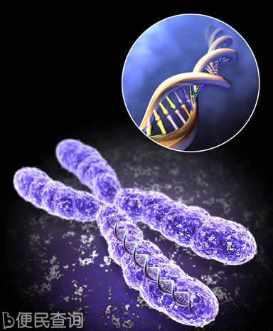 科学家完整破译第22对人体染色体遗传密码