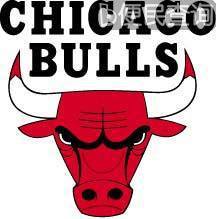 NBA公牛队在芝加哥成立